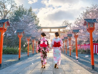 9D6N Sakura Splendour in Central Japan